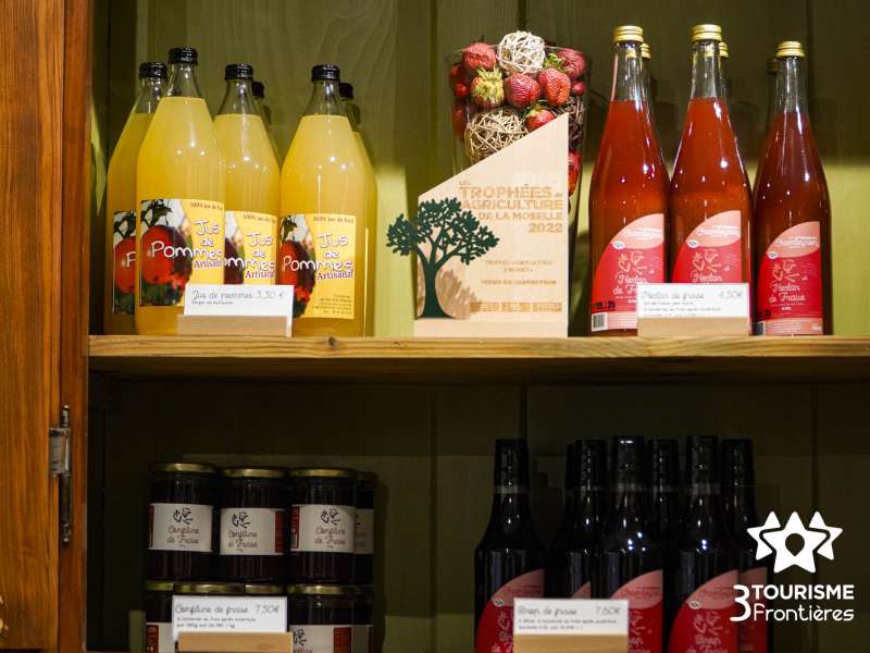 Céline MONTLAUR - Trois Frontières Tourisme Earl du Chambeyron