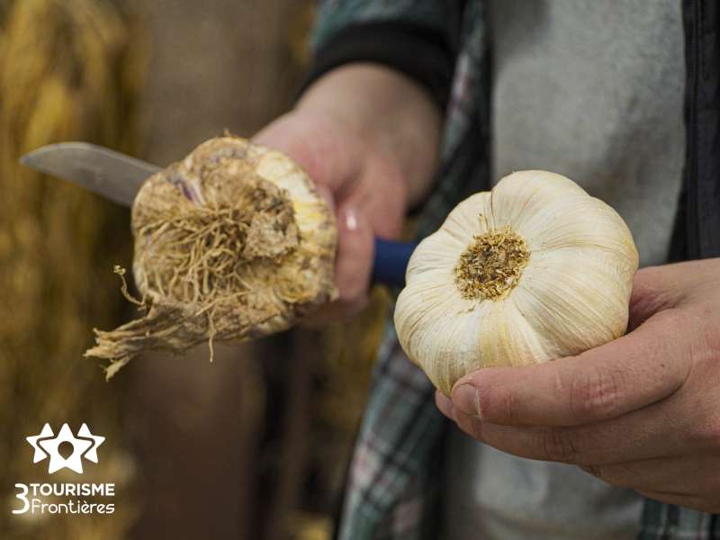 Trois Frontières Tourisme  Earl du Chambeyron