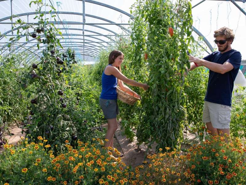 Les photos de Véro Les jardins de Popote