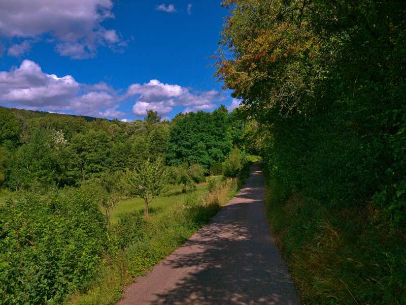 Emmanuel Stourm 2020
Licence Open Data Pelouses et rochers du Pays de Sierck
