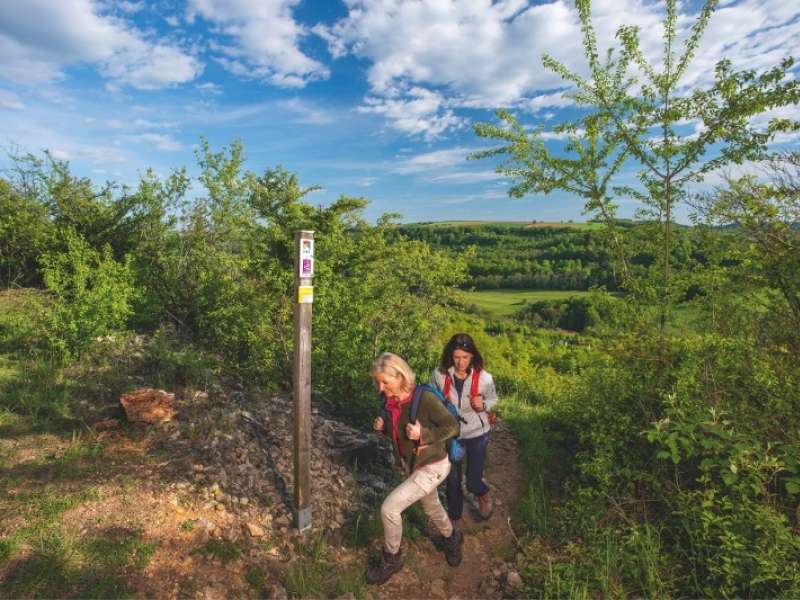 Patrick Müller, SaarSchleifenLand  M3-Trail-Rennstrecke (geschlossen)