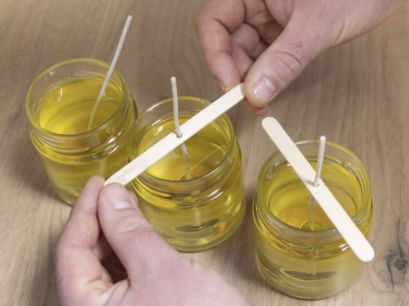 Véronique Vial  Ginkgo déco