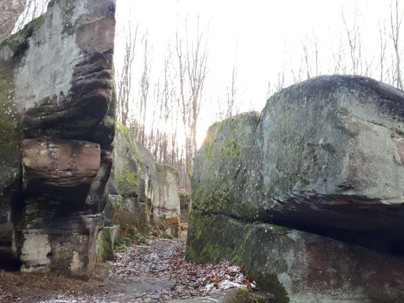 Pays de Phalsbourg Tourisme  Rocher Lorenzo