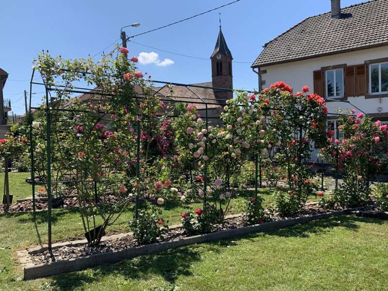 JARDIN DES ROSES