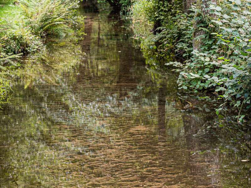 CIRCUIT SUR LES VERSANTS DE LA RIVIERE ZORN ENTRE HARREBERG ET DABO