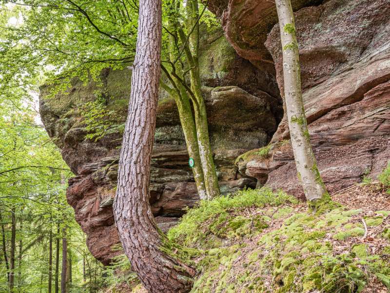 Patrice BUCHER Sentier des bornes