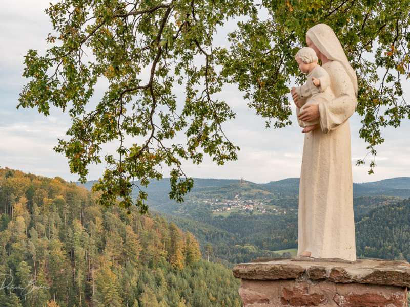 Patrice BUCHER Escapade vélo à Dabo