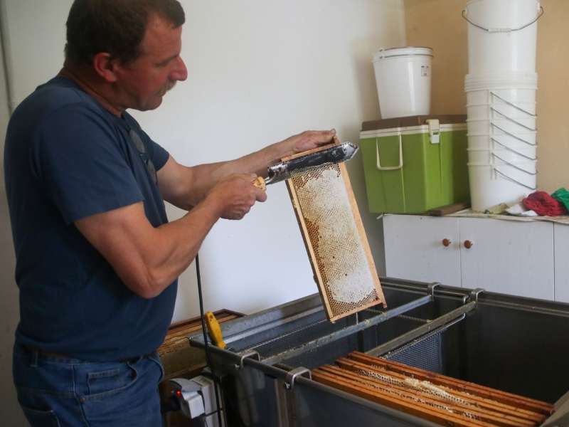 Lid Sirkis  Rucher des jardins