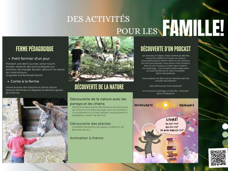 Association Equi donne des ailes  Balades découverte de la nature avec les poneys