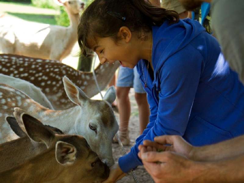 Parc animalier de Ste Croix - Morgane Bricard Tierpark Sainte-Coix