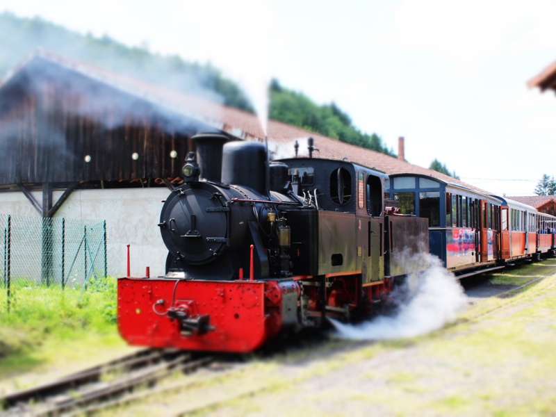 Train forestier Abreschviller  Chemin de fer forestier - Waldeisenbahn