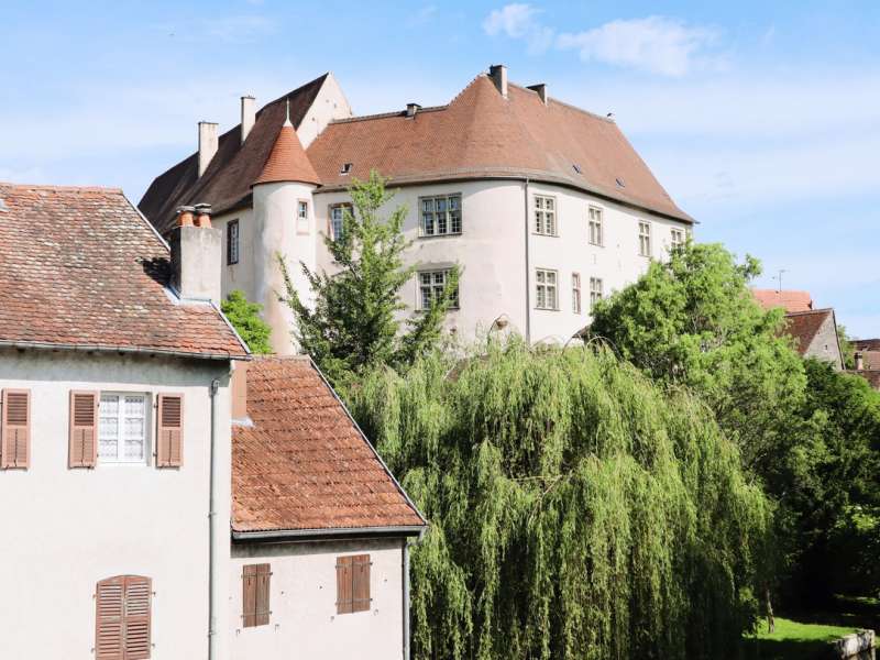 TSMS - A. Muller Das Schloss von Fénétrange