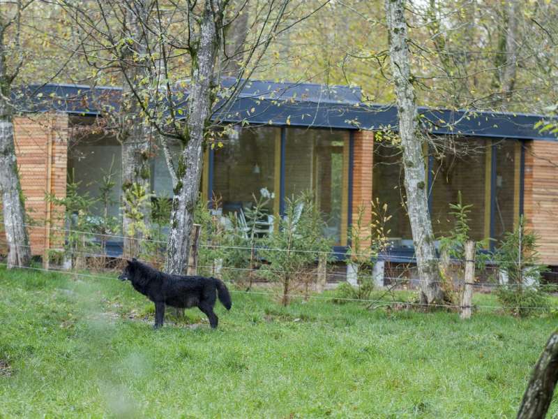Morgane Bricard  Außergewöhnliche Unterkünft - Yellostone lodge