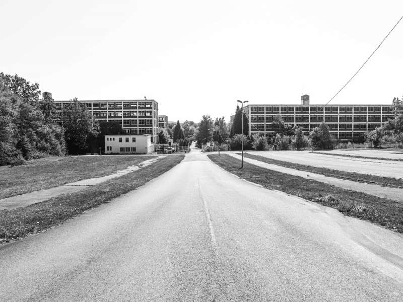 Impala Familienausflug in Bataville