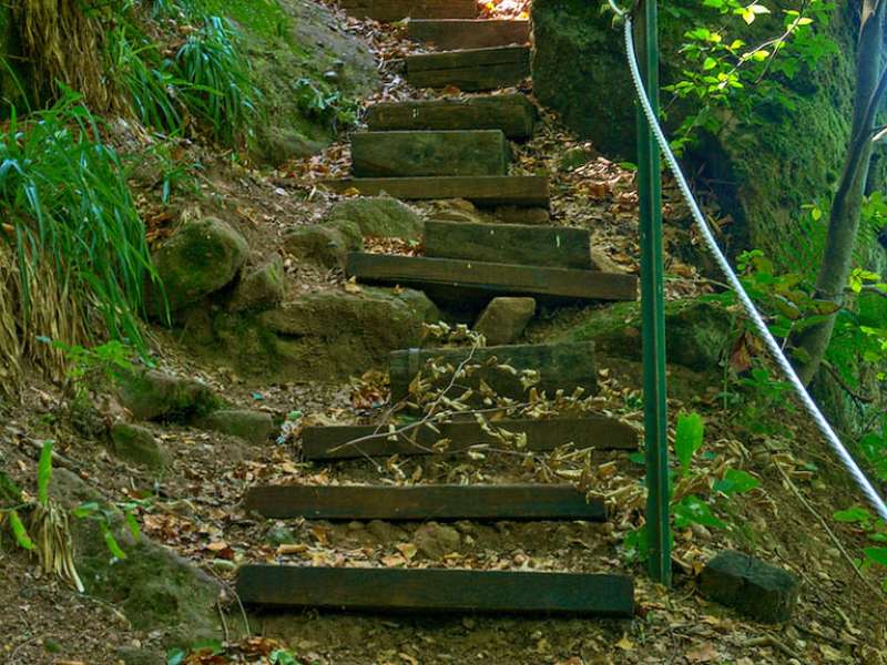 Emmanuel Stourm 2020
Licence Open Data Teufelfelsen