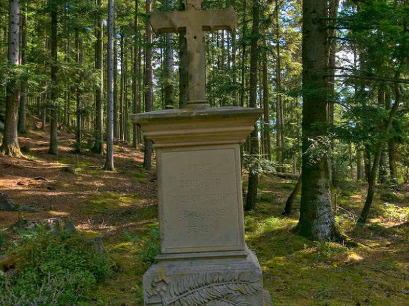 Emmanuel Stourm 2020
Licence Open Data  Hohwalschplatz