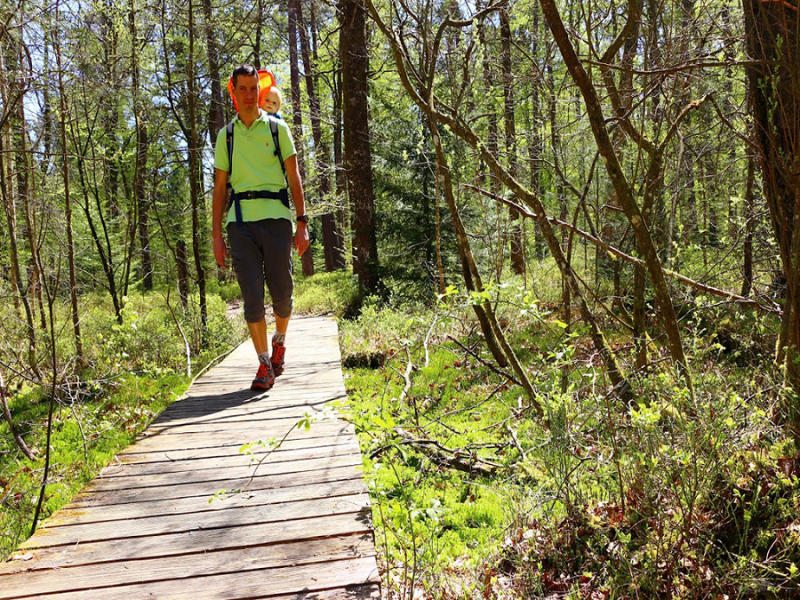 © Globetrekkeuse  Torfmoor des Étang de Hanau