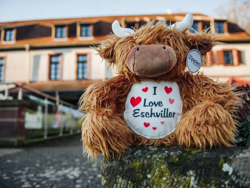 Communauté de Communes du Pays de Bitche. Der Laden der Mühle von Eschviller