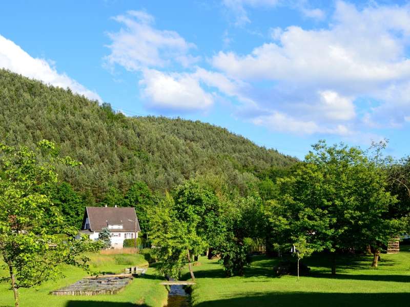 Gîte de l'écureuil Gîte de l'écureuil