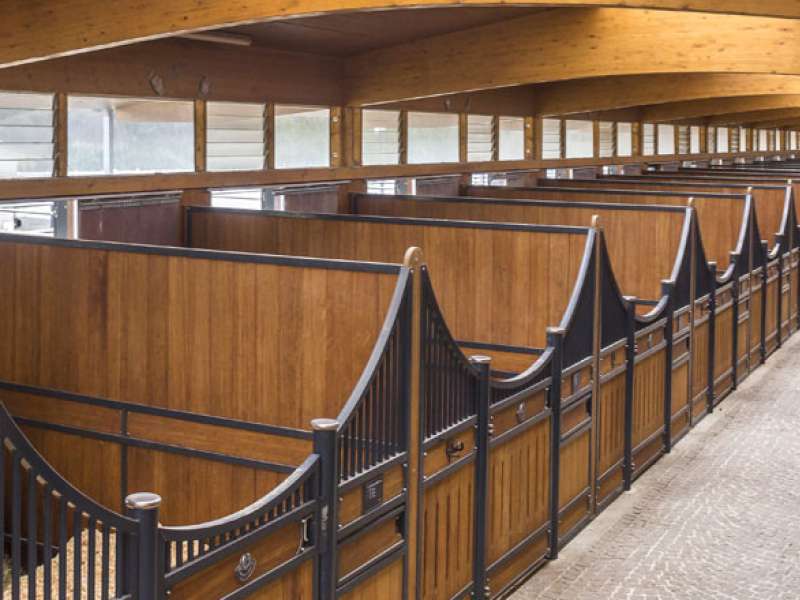 Laurentides Écurie les laurentides