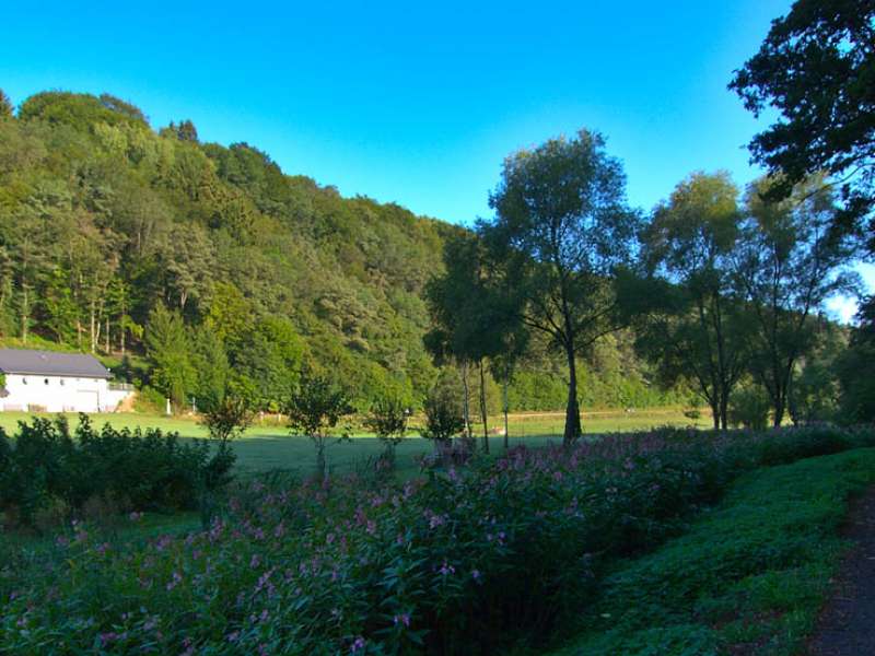 Vallée de la Horn entre Hanviller et Bousseviller  La vallée de la horn