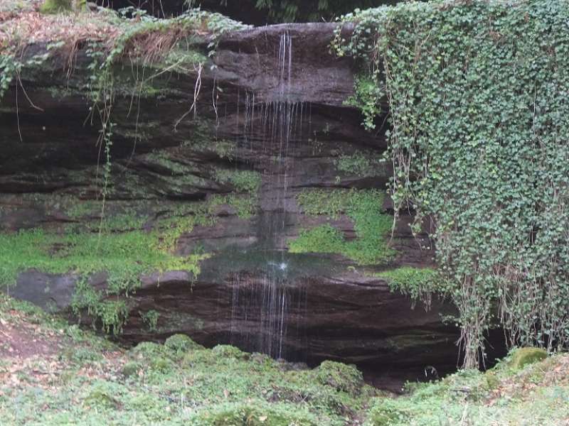 Club Vosgien Soucht  Parcours marche nordique bleu