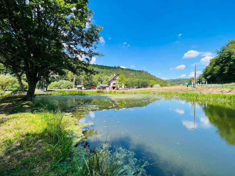 Domaine du Trèfle d'or  Le domaine du trèfle d'or