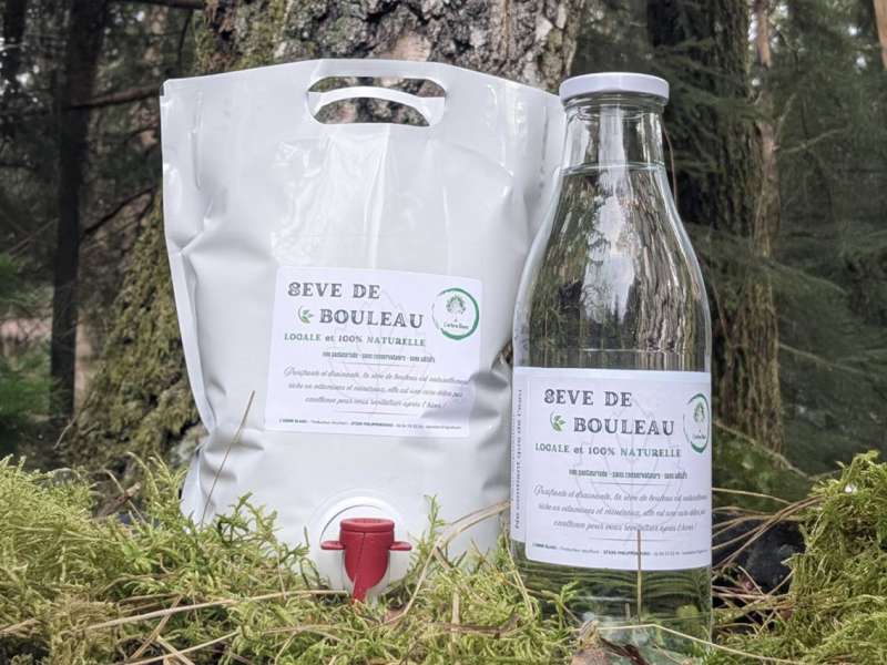 L'arbre blanc@Philippe Rutsch L'arbre blanc