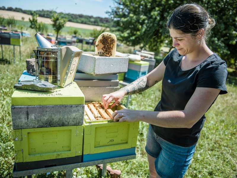 Wendy_PFAUWADEL Les ruchers de Wendy