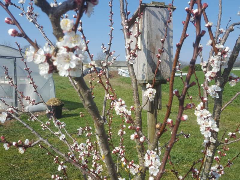 Au Grand Jardin Au Grand Jardin