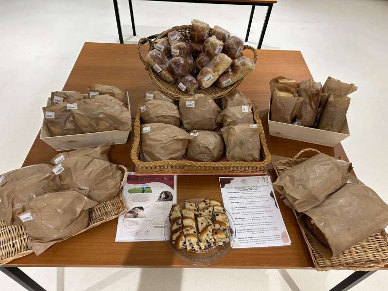 Madame Pain Madame pain