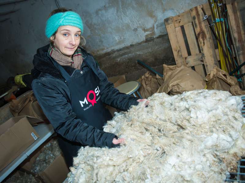 Gilles Dorschner Mohair in Seille