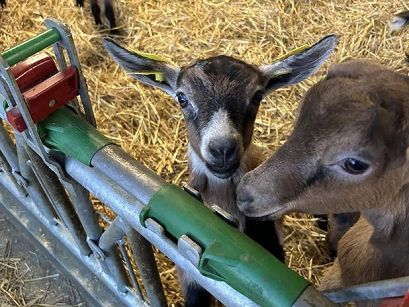 Ferme des Ensanges Ferme des Ensanges
