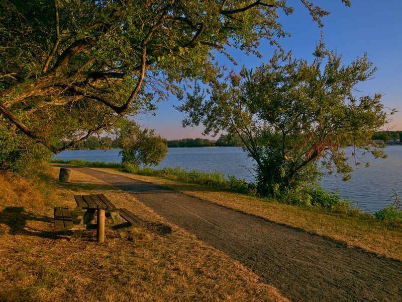 Emmanuel Stourm 2020
Licence Open Data Mutche-Rundweg