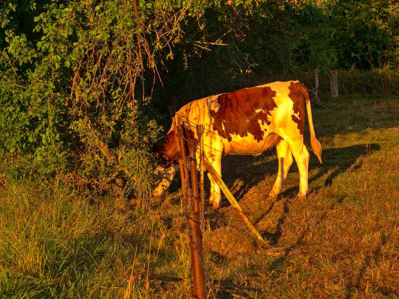 Emmanuel Stourm 2020
Licence Open Data Die Hügel des Metzer Landes