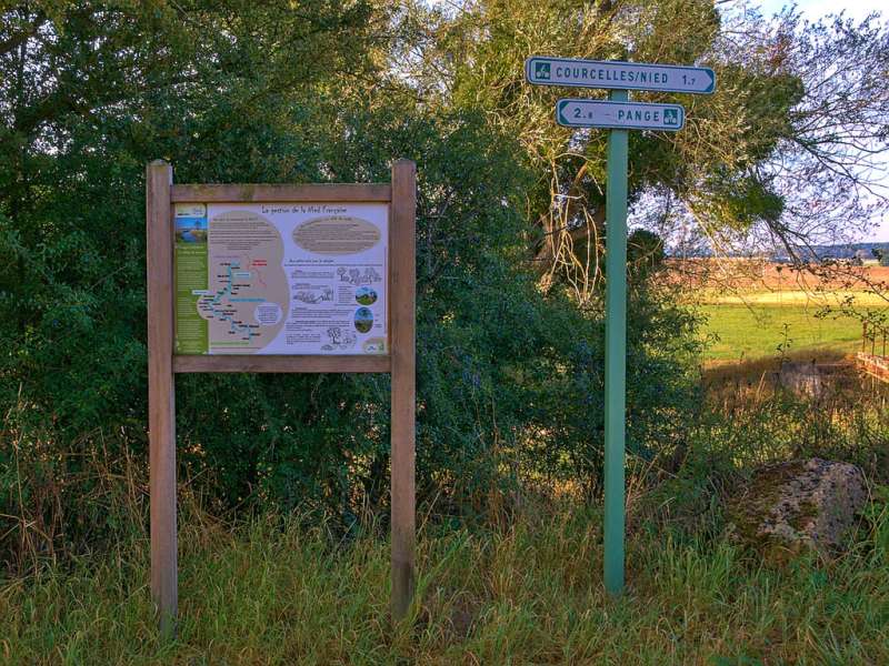 GRÜNER WEG DES LANDES VON PANGE