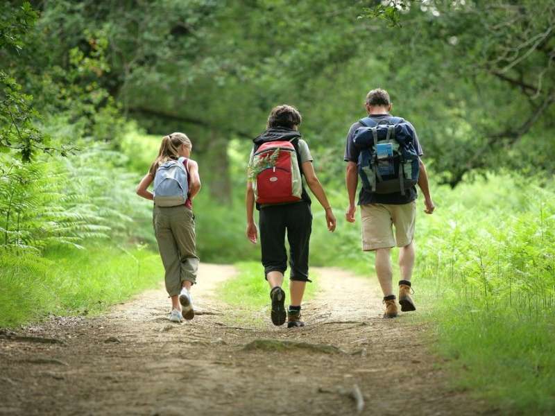 Communauté d'Agglomération de Forbach Porte de France Grauberg-rundweg