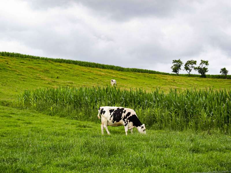 Trois Frontières Tourisme Circuit des collines
