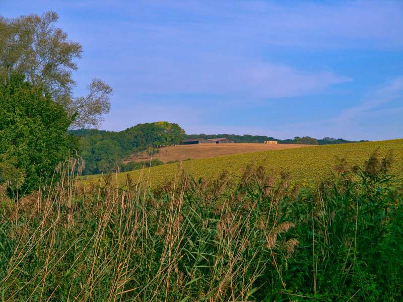 Emmanuel Stourm 2020
Licence Open Data Schlösser-Rundgang