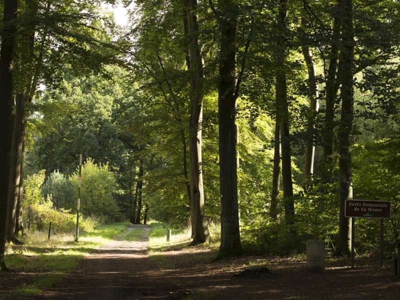 Moselle Tourisme Schleife der Kuckucksuhren