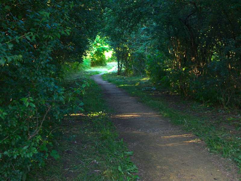 Emmanuel Stourm 2020
Licence Open Data Die Sümpfe des Warndt