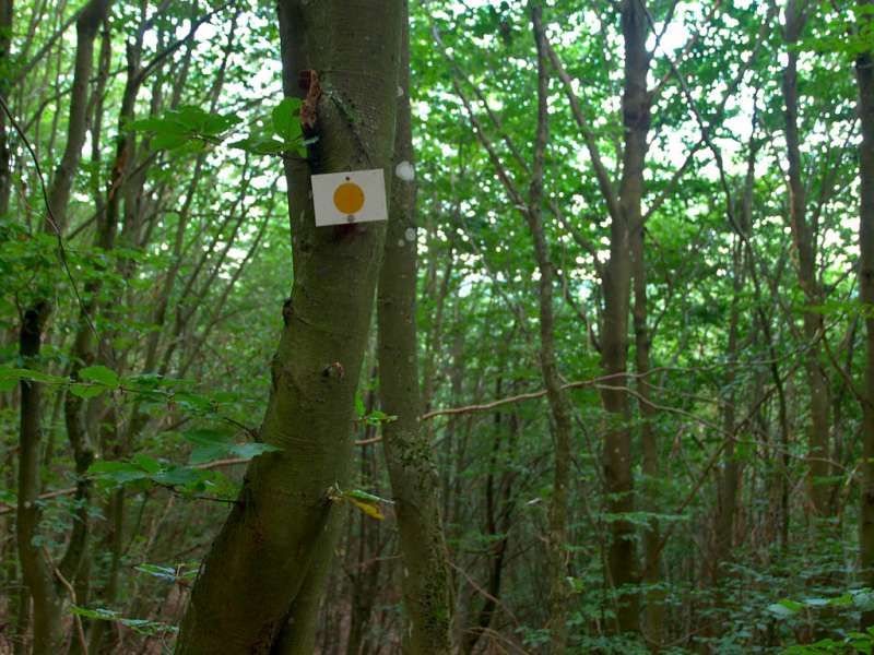 IM SCHATTEN DER GROSSEN ARNSBURG