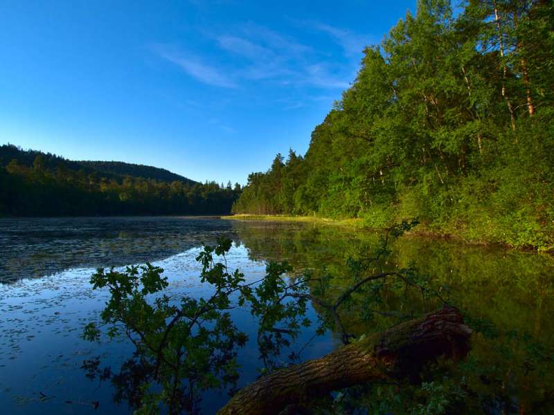Emmanuel Stourm 2020
Licence Open Data Am Rande des Wassers