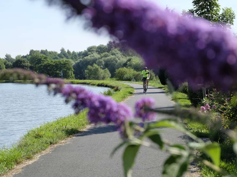 J. Lauer / Sarreguemines Tourisme Sarreguemines à sarralbe par le canal