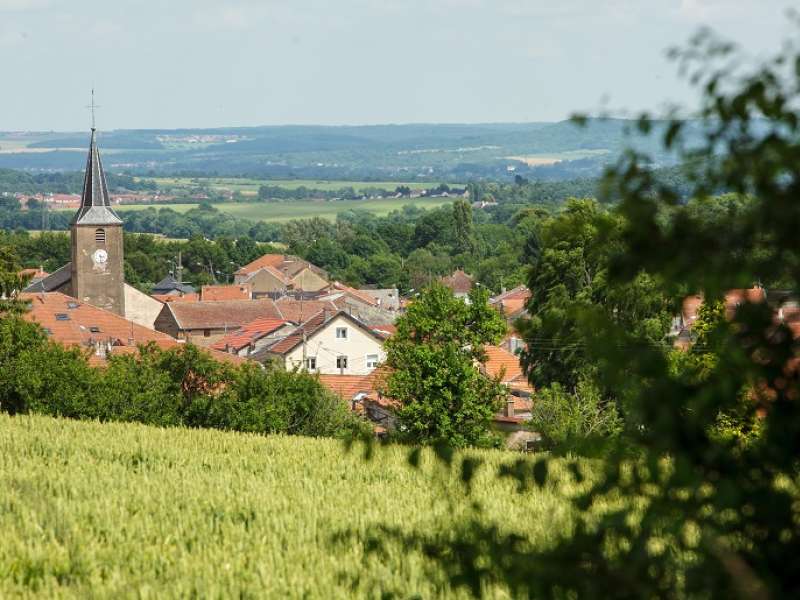 Stéphane Thévenin  Circuit du lérot