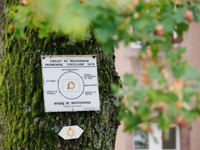 CTurpin_SarregueminesTourisme Auf den Spuren der Spiritaner