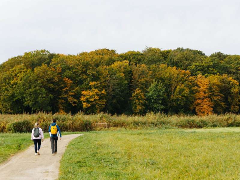 Alex Fabing Production  Wanderung um der Marais-Weiher