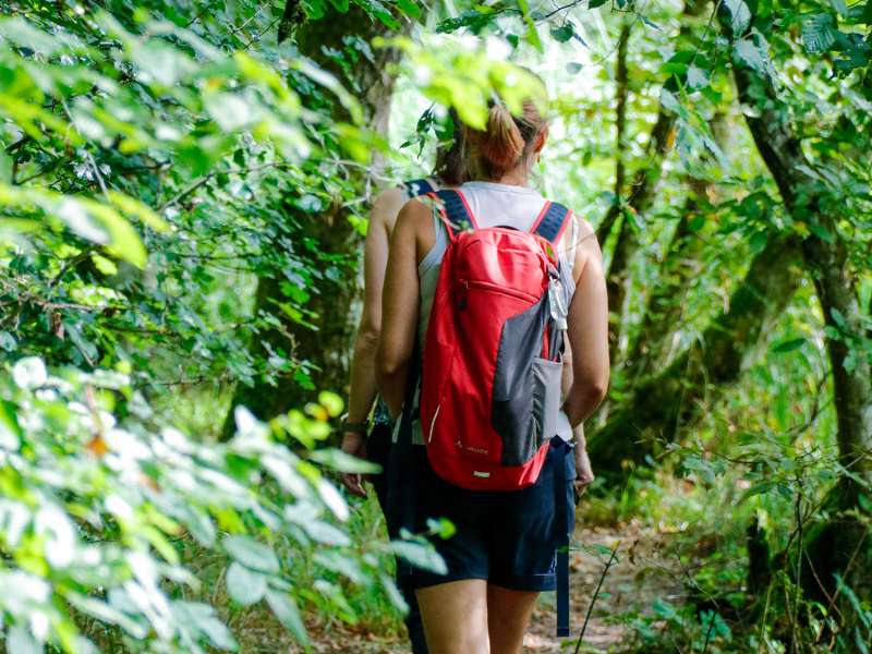 Sarreguemines Tourisme Der Schilf-Rundweg