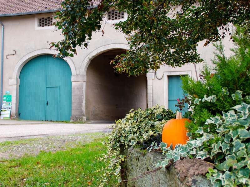 CTurpin_SarregueminesTourisme Von der Farm zu den Weiden