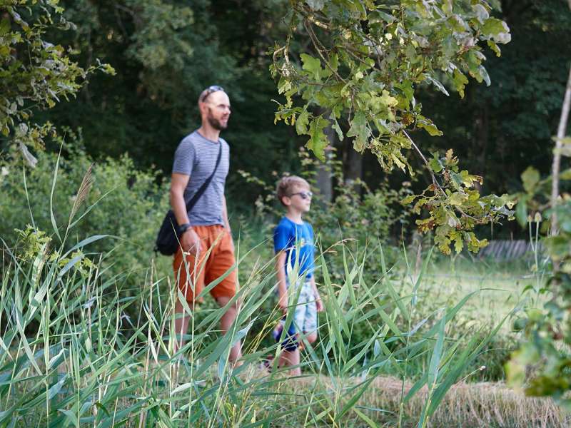 CTurpin_SarregueminesTourisme  Torfmoore und Sümpfe